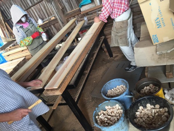 10422389_850416271691866_8095652341613777018_n