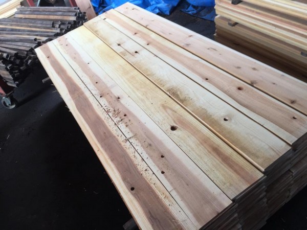 11182040_850416248358535_6133963984856600835_n