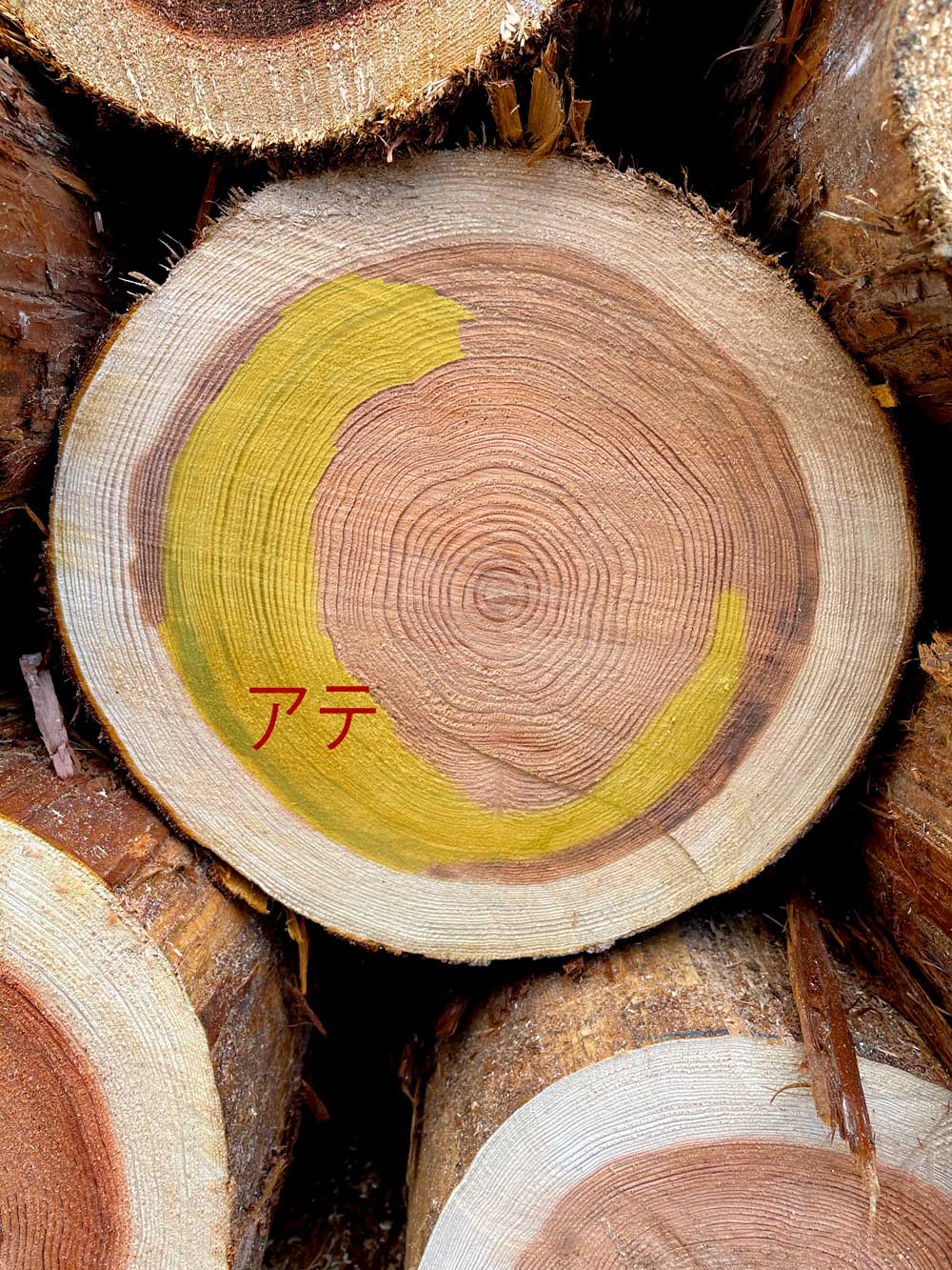 薪(杉、桧込み) 乾燥材 清々しく